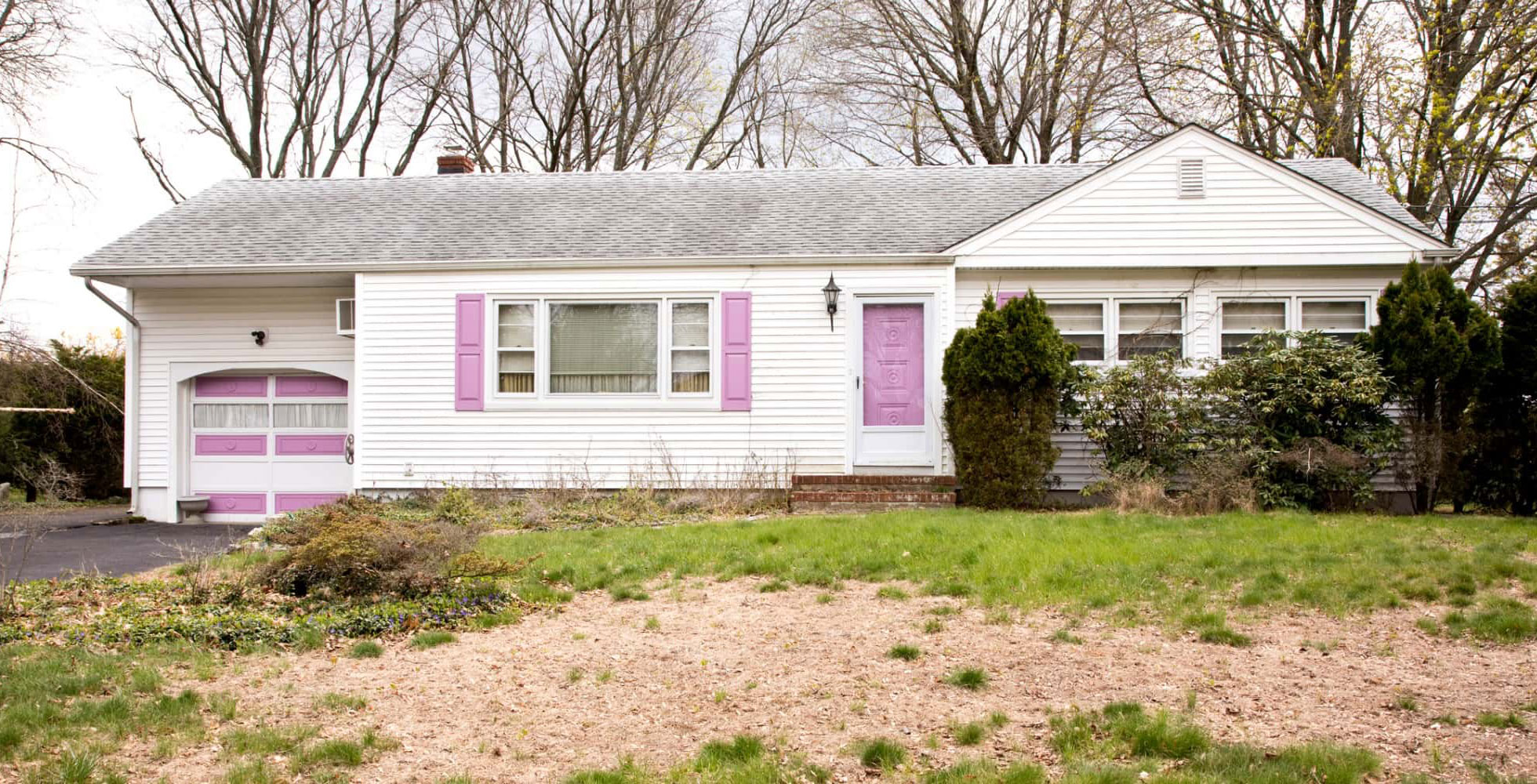 dead_patchy_lawn_repair_service_hydroseeding