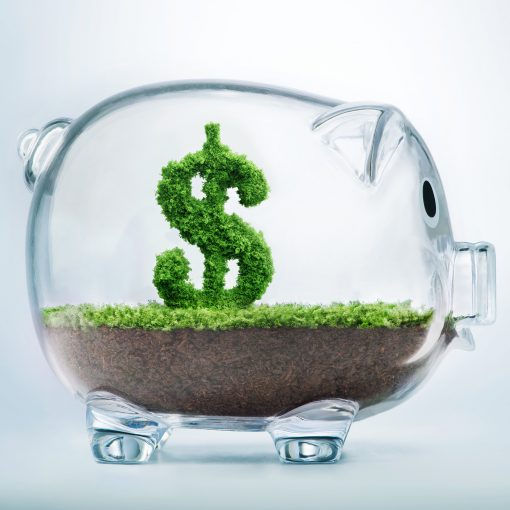 hydroseeding_savings hydroseeding_savings